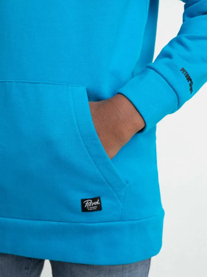 Boys Knits and Sweats Petrol Industries Hoodie With Logo Artwork Bluebird
