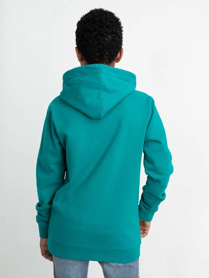 Boys Knits and Sweats Petrol Industries Hoodie With Logo Artwork Green Coral