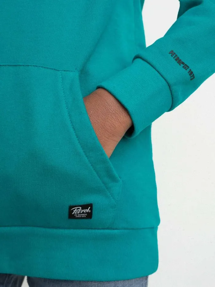 Boys Knits and Sweats Petrol Industries Hoodie With Logo Artwork Green Coral
