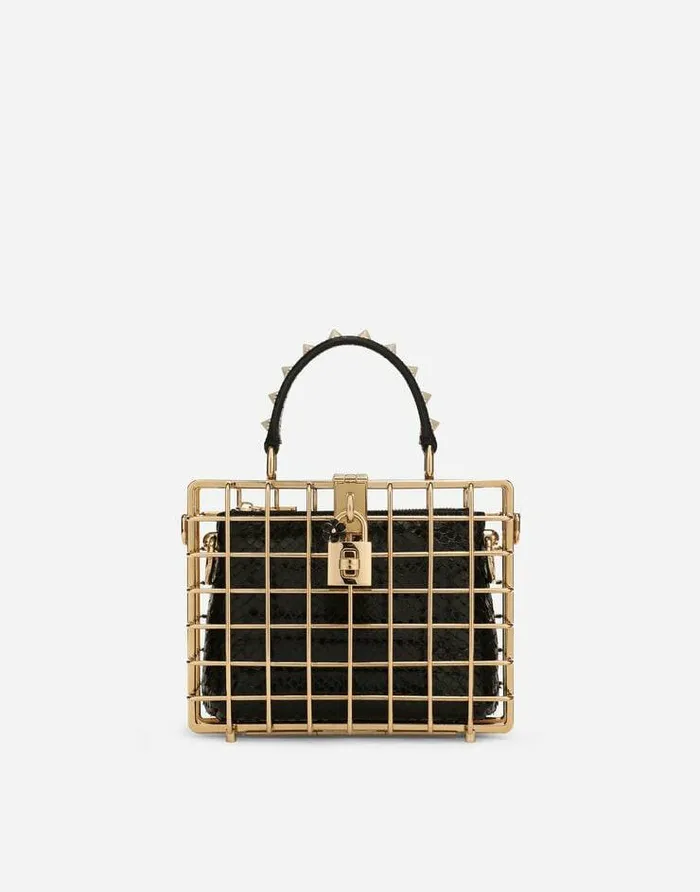 Dolce and Gabbana Handbags Women Dolce Box Bag In Metal And Ayers Multicolor