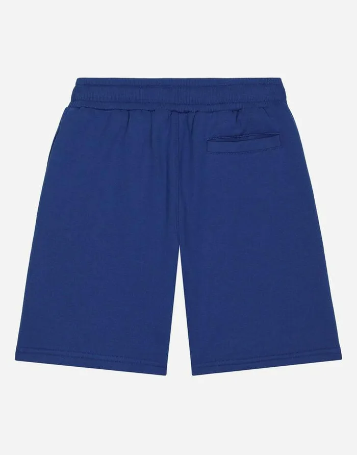 Dolce and Gabbana Trousers And Shorts Children Jersey Jogging Shorts With Logo Tag Blue