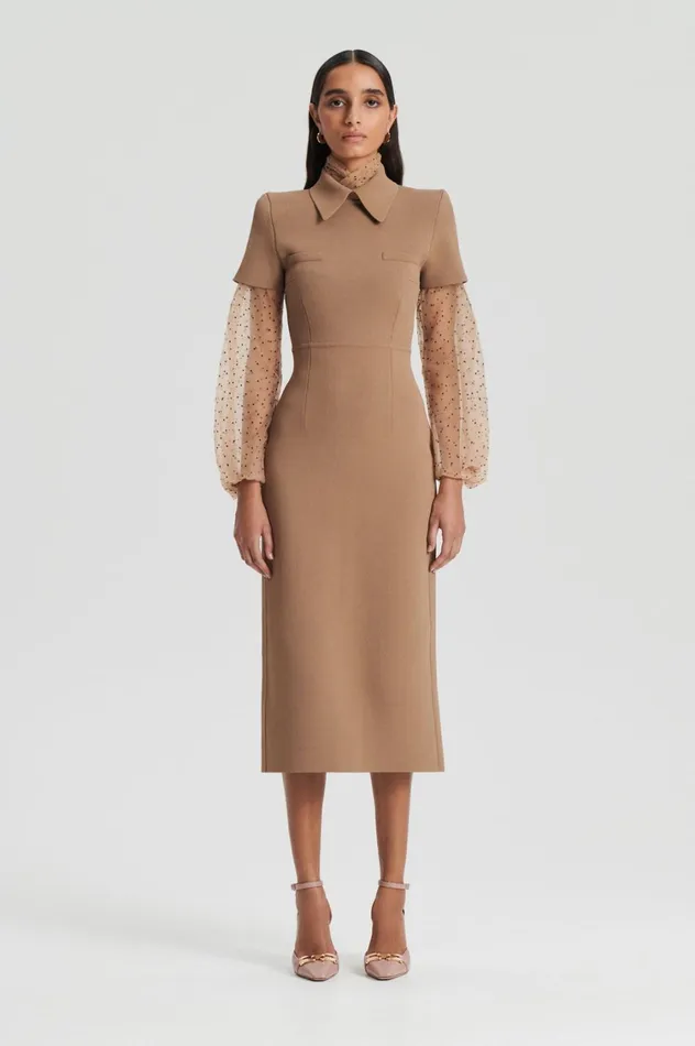 Dresses Women Scanlan Theodore CREPE KNIT COLLAR DRESS Camel