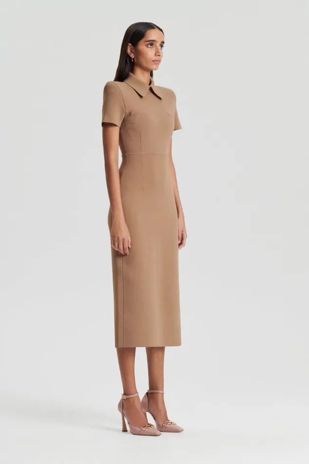 Dresses Women Scanlan Theodore CREPE KNIT COLLAR DRESS Camel