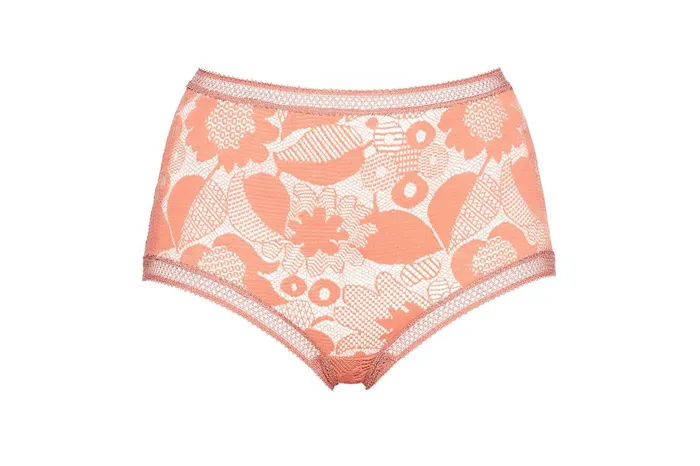 ERES Indienne HighWaisted Briefs Muscade E23 Women Briefs