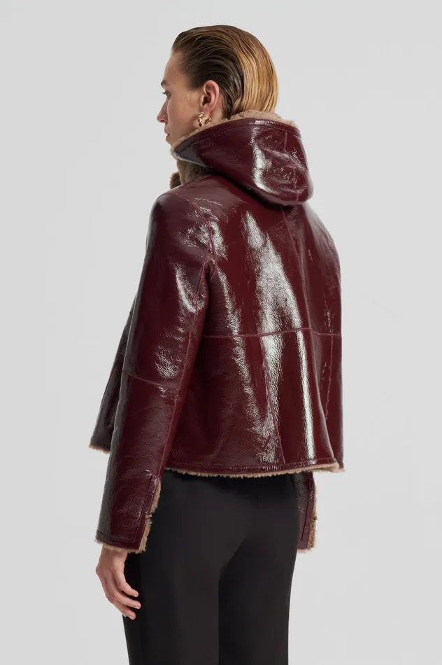 Leather Women Scanlan Theodore SHEARLING JACKET Rasbrrycamel Leather Women Scanlan Theodore SHEARLING JACKET Rasbrrycamel