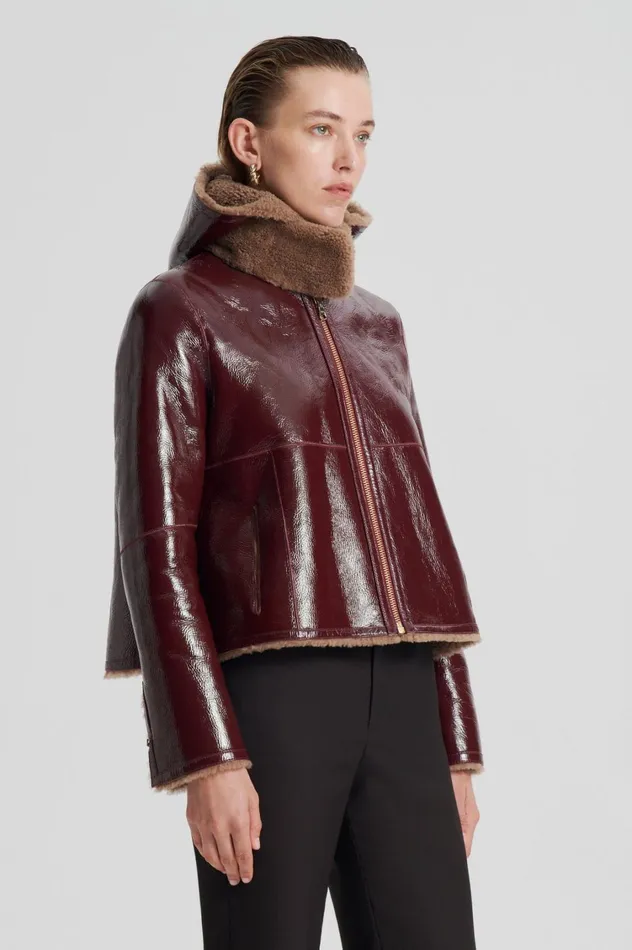 Leather Women Scanlan Theodore SHEARLING JACKET Rasbrrycamel Leather Women Scanlan Theodore SHEARLING JACKET Rasbrrycamel