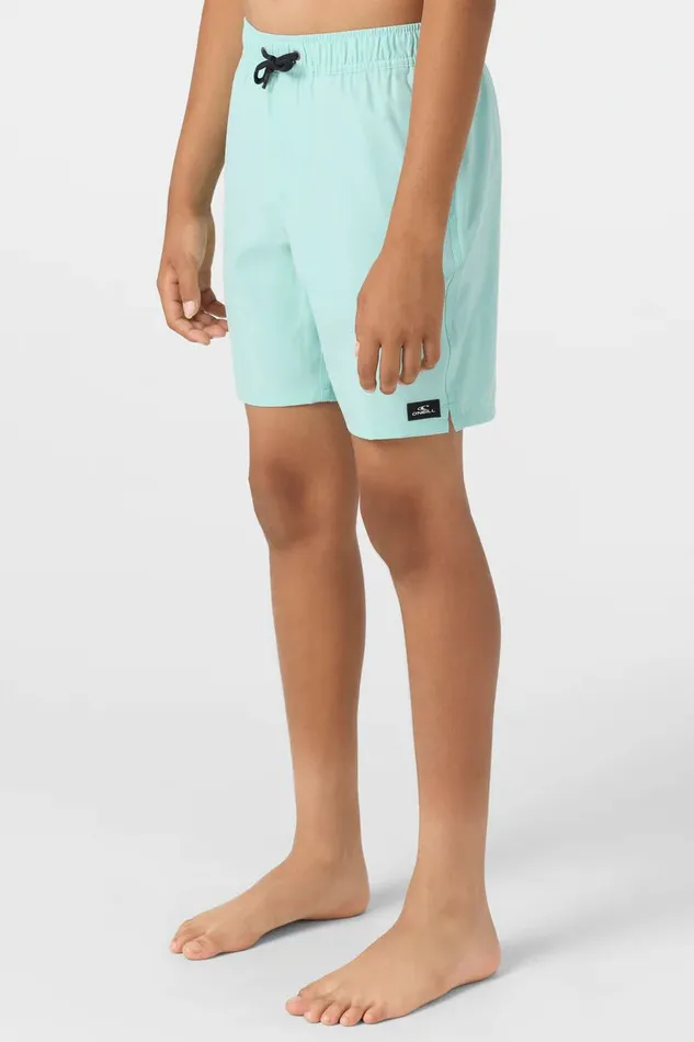 LENNOX HERMOSA 16034 SHORTS Kids O039NEILL Boy039S Clothing