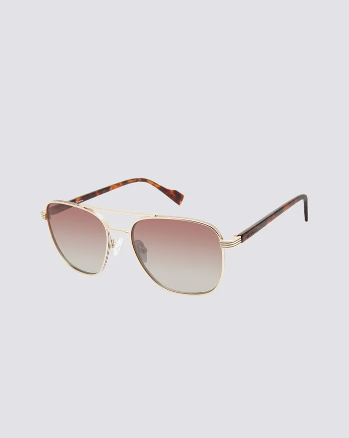 Men Ben Sherman Sunglasses Walbrook Polarized Aviator Square Eco Sunglasses 8211 Gold