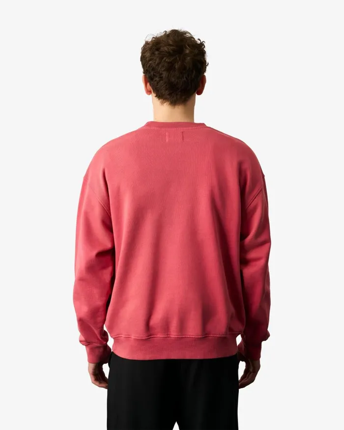 Men Crewneck Sweatshirts Colorful Standard Organic Oversized Crew Coffee Brown