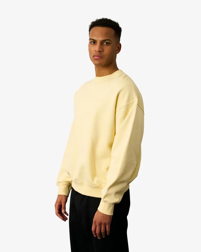 Men Crewneck Sweatshirts Colorful Standard Organic Oversized Crew Soft Lavender