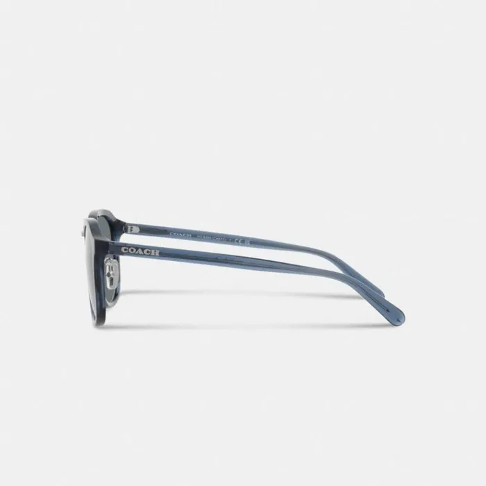 Men Sunglasses Coach Rounded Geometric Sunglasses Blue Tortoise