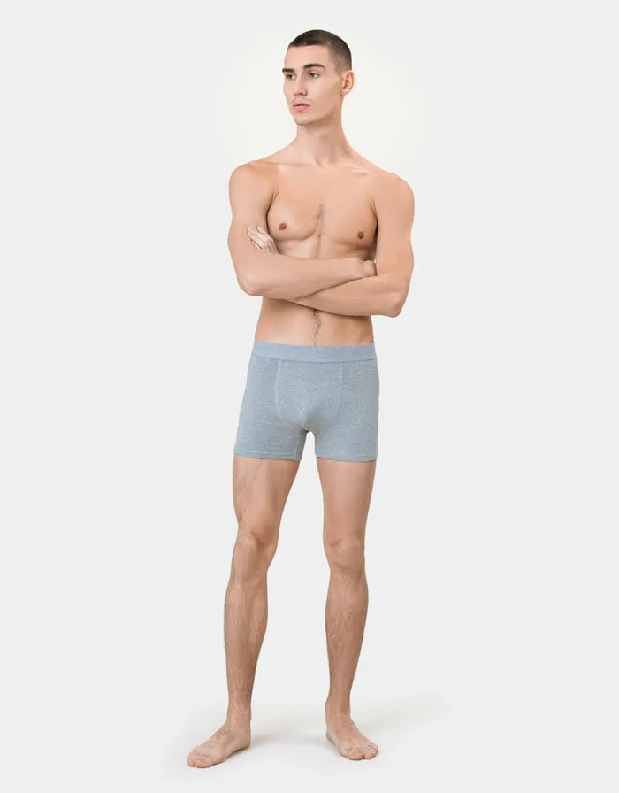 Men Underwear Colorful Standard Classic Organic Boxer Briefs Deep Black