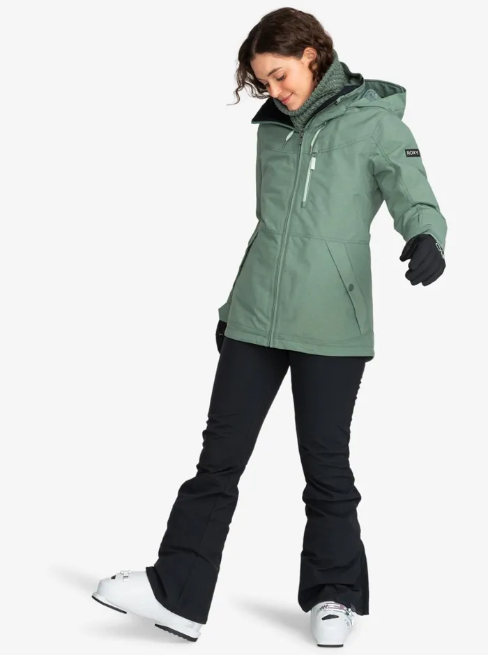 Roxy Snow Pants Summit Technical Snow Bib Pants True Black 8211 Women