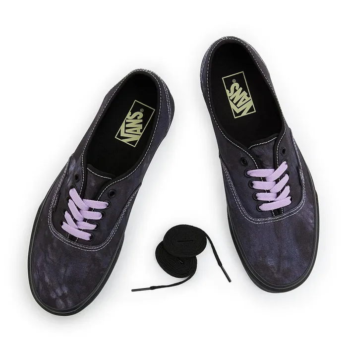 Vans Classics Men Authentic Shoes Black