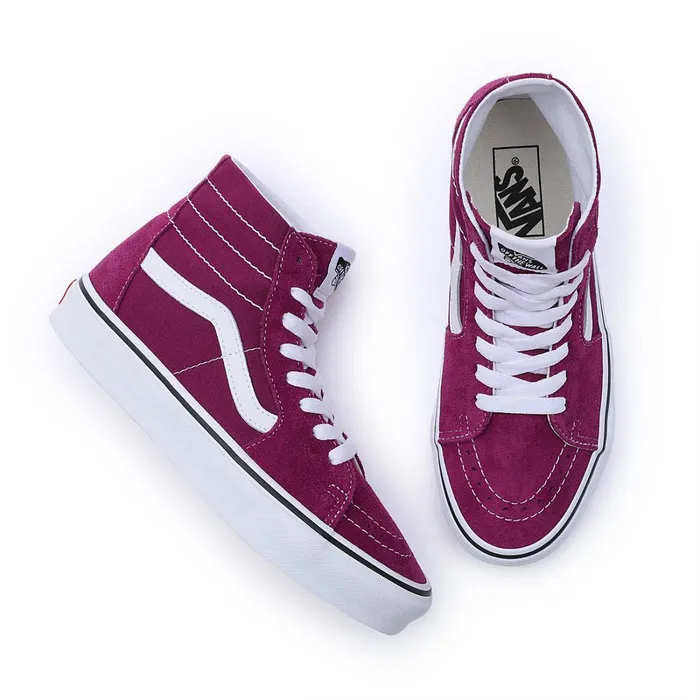 Vans Classics Men Color Theory Sk8Hi Tapered Shoes Purple