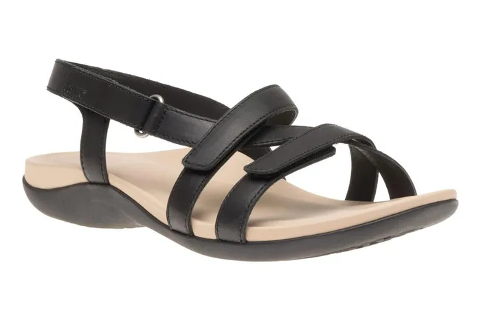 Women ABEO Footwear Sandals Ollie Black
