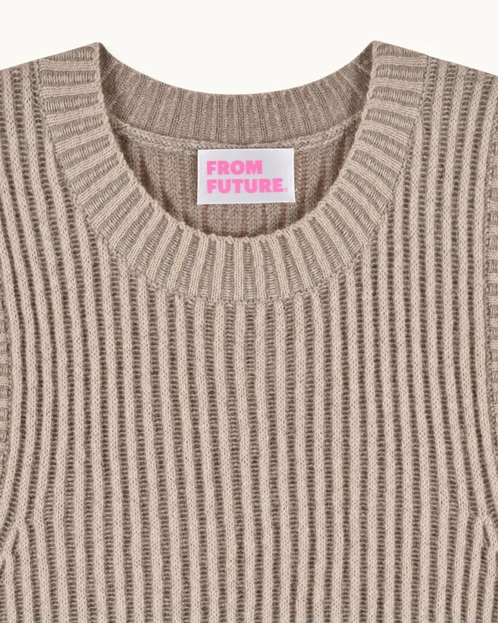 Women Cashmere Sweaters From Future TwoTone Sleeveless Sweater Beige