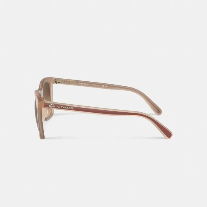 Women Eyewear Coach Disney X Coach Striped Square Sunglasses Ivorysaddle Women Eyewear Coach Disney X Coach Striped Square Sunglasses Ivorysaddle