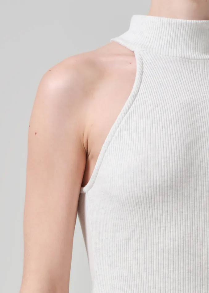 Women Tops Citizens Of Humanity Dani Sleeveless Mock Neck In Pashmina